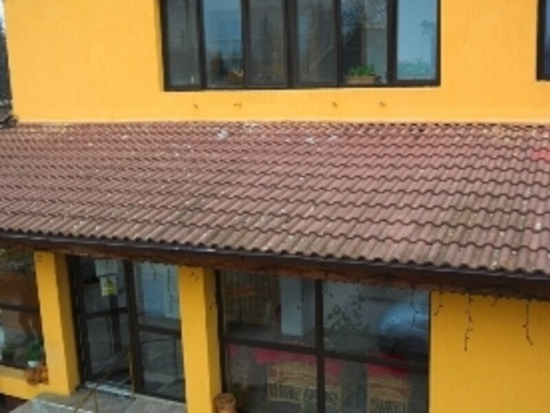 Camin particular pentru batrani si bolnavi de alzheimer